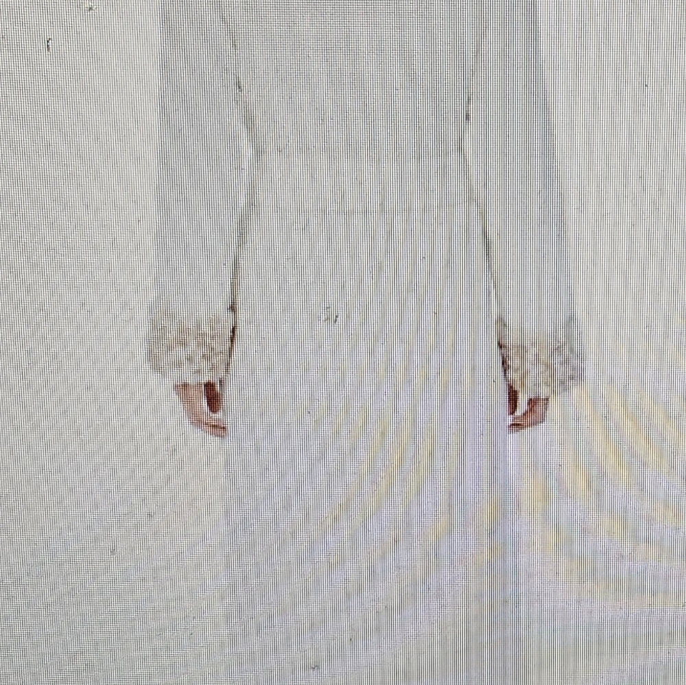 Wrap Robe - Picture 4 of 5